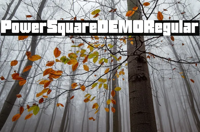 Power Square DEMO Regular Example 3