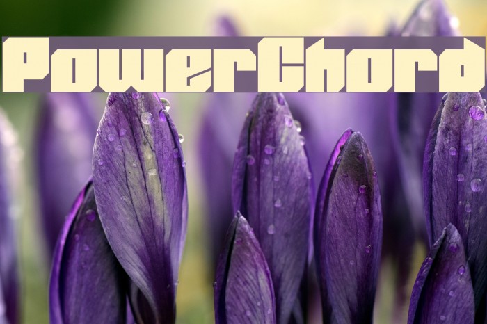 PowerChord Example 1