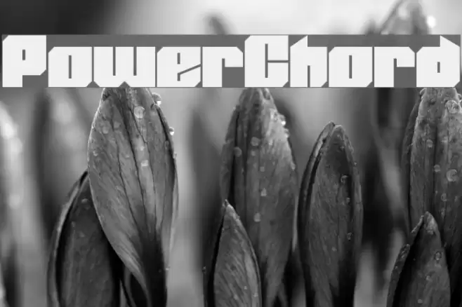 PowerChord Font examples