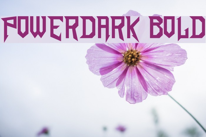PowerDark Bold Font examples