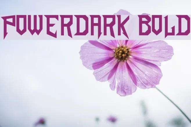 PowerDark Bold Example 1