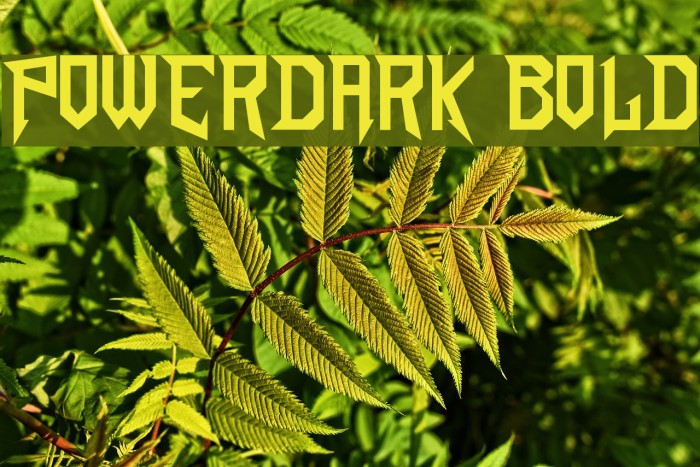 PowerDark Bold Font examples