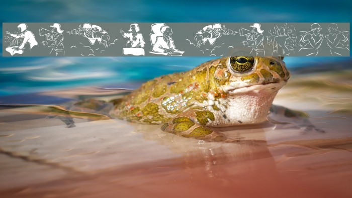 PowerWoman Example 1