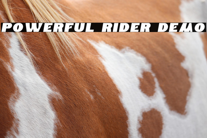 Powerful Rider Demo Example 1