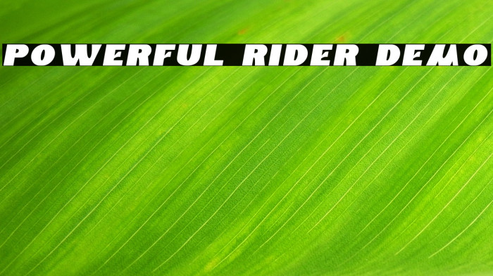 Powerful Rider Demo Example 2