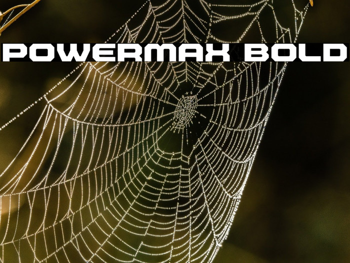 Powermax Bold Example 1