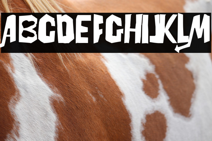 Powerpuff Girls Z Example 1