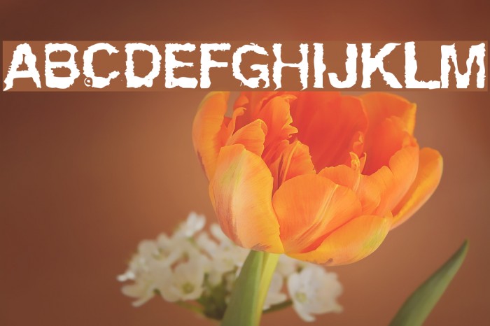 Powerwalker Font examples