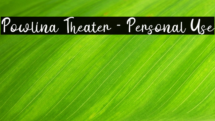 Powlina Theater - Personal Use Example 1