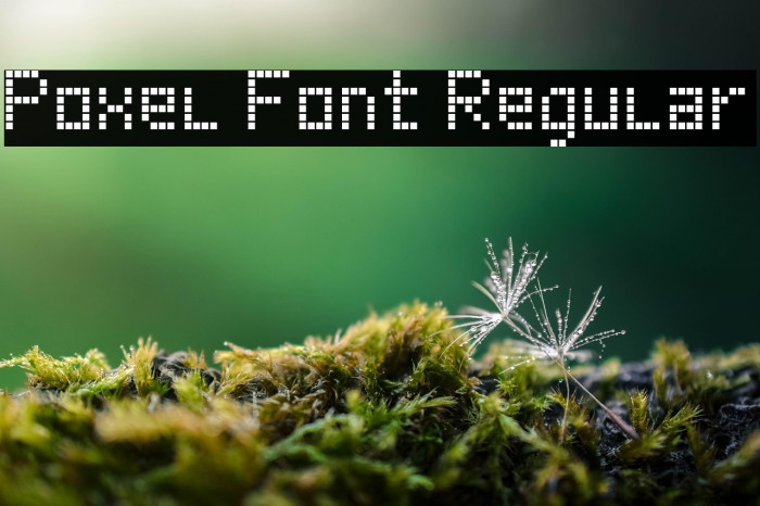Poxel Font Regular Example 2