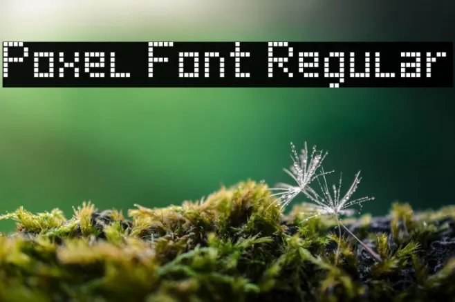 Poxel Font Regular Example 2