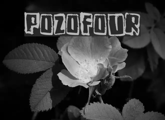 Pozofour Font examples