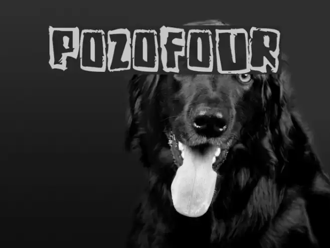 Pozofour Font examples