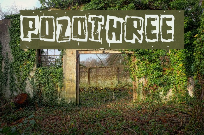 Pozothree Font examples