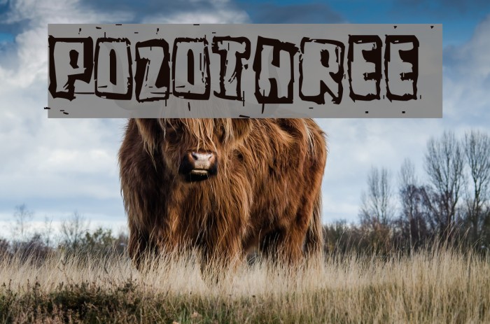 Pozothree Font examples