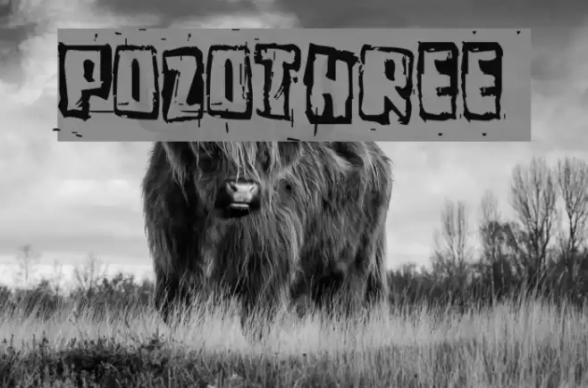 Pozothree Polices examples