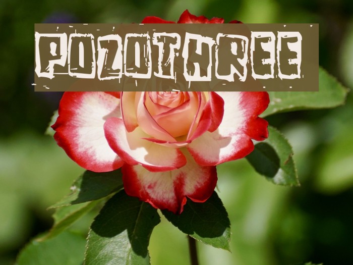 Pozothree Font examples