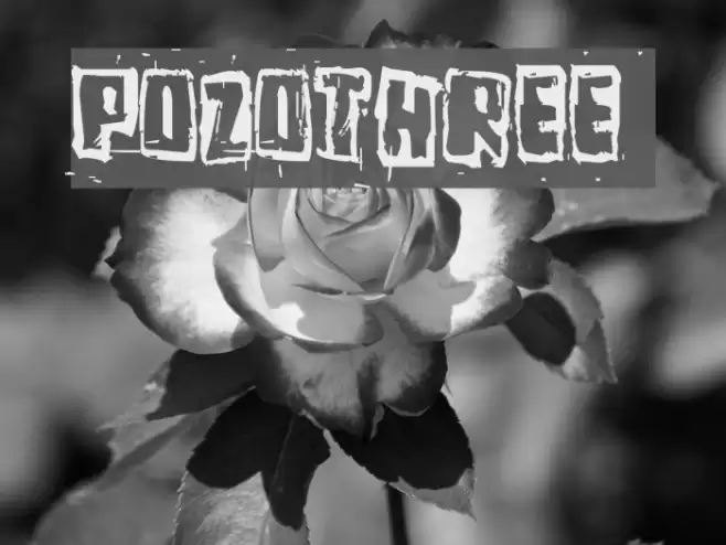 Pozothree Polices examples