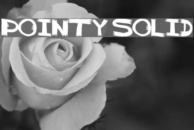 pointy solid Font examples