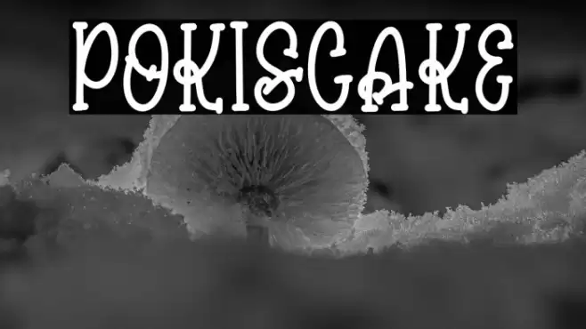 pokiscake Font examples