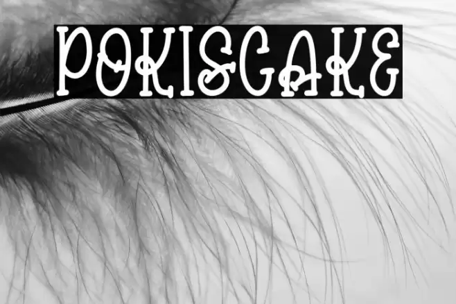 pokiscake Font examples
