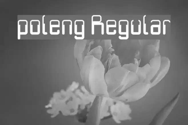 poleng Regular Font examples