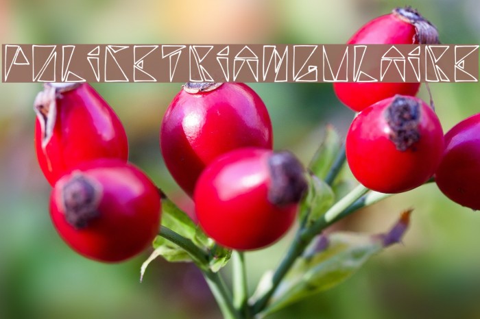 policetriangulaire Example 3