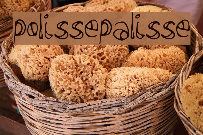 polissepalisse Example 2