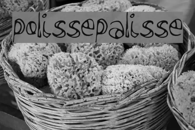 polissepalisse Font examples