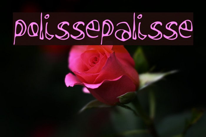 polissepalisse Example 3