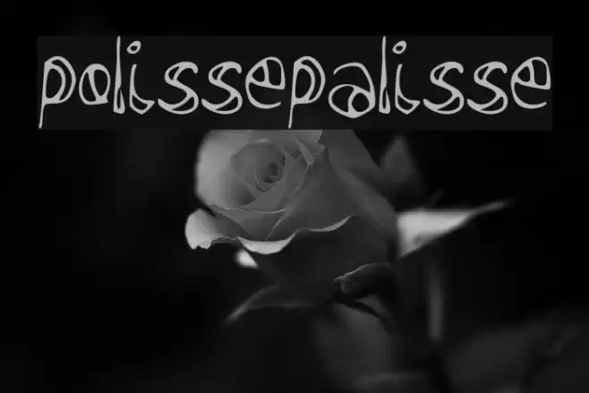 polissepalisse Font examples