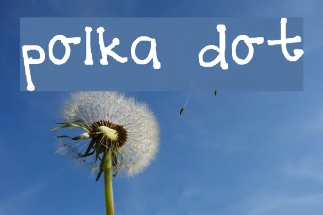 polka dot Example 1