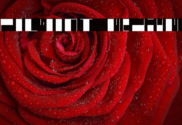 polyont medium Example 1