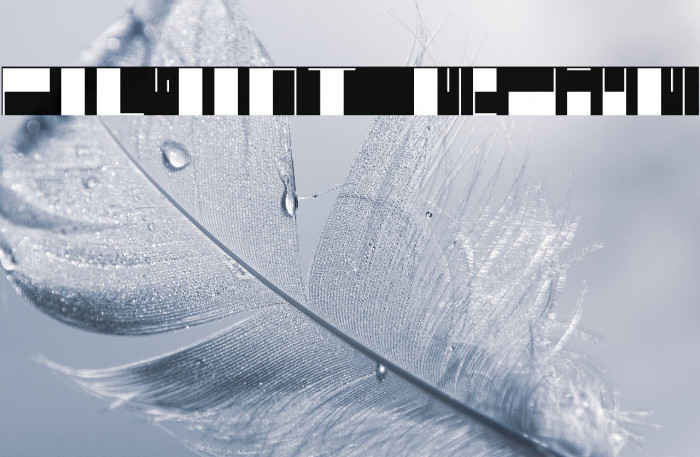 polyont medium Example 3