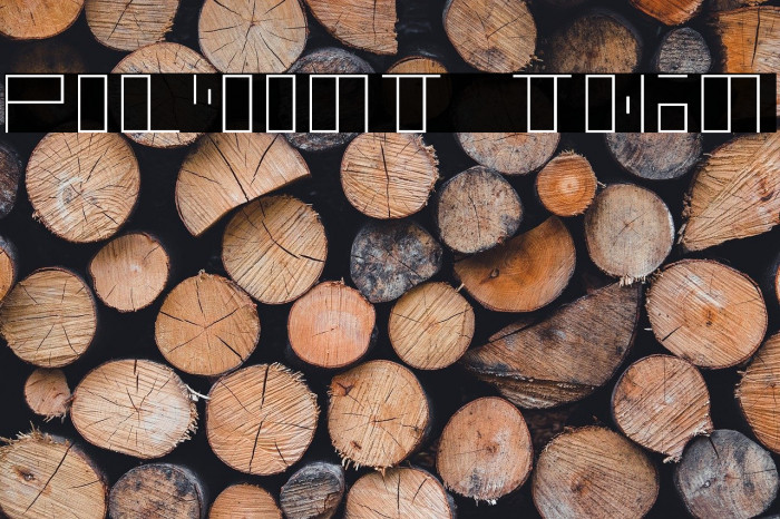 polyont thin Example 1