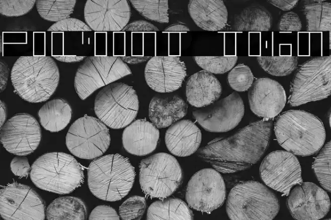 polyont thin Font examples