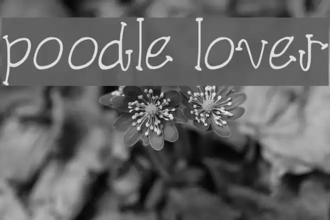 poodle lover Font examples