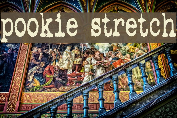 pookie stretch Font examples