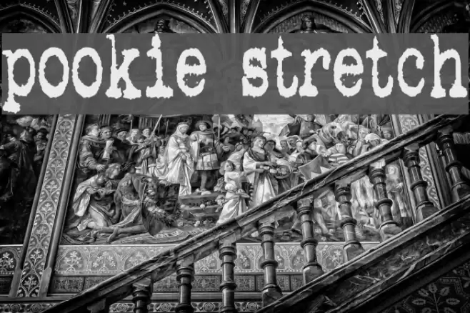pookie stretch フォント examples