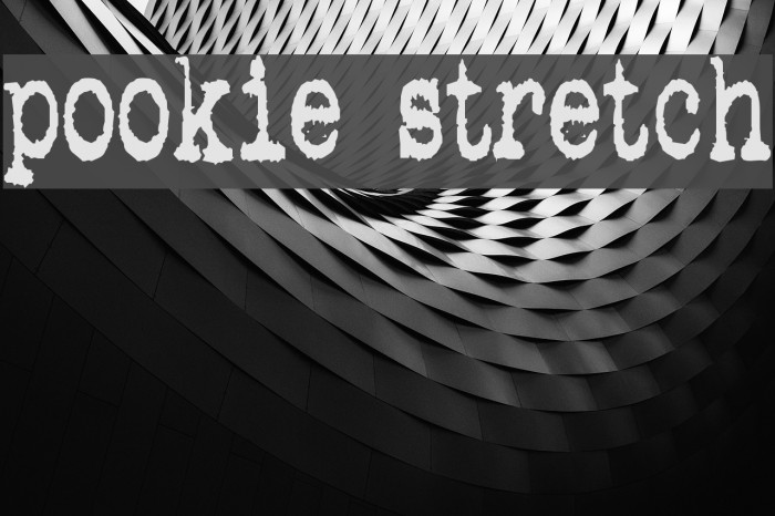pookie stretch Font examples