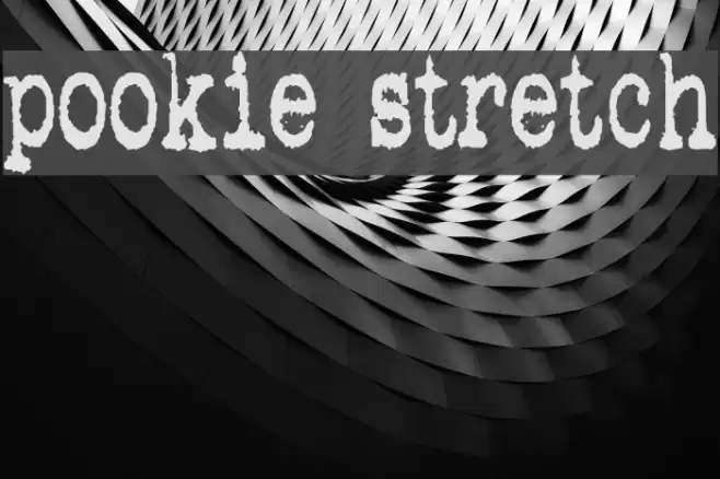 pookie stretch フォント examples