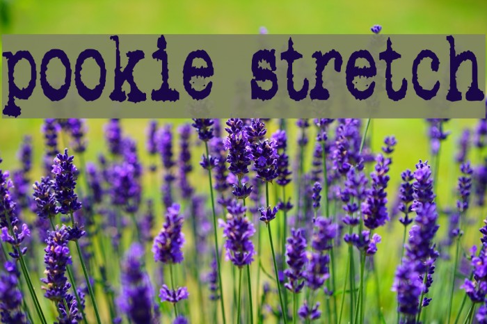 pookie stretch Font examples