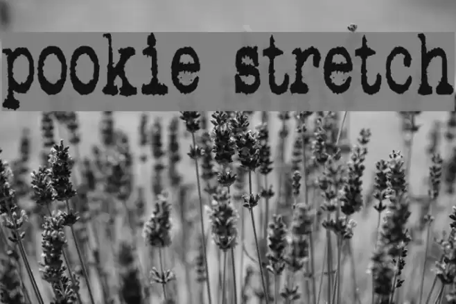 pookie stretch フォント examples