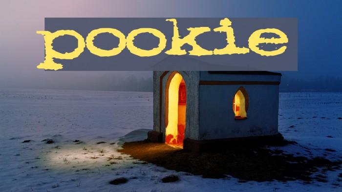 pookie Font examples