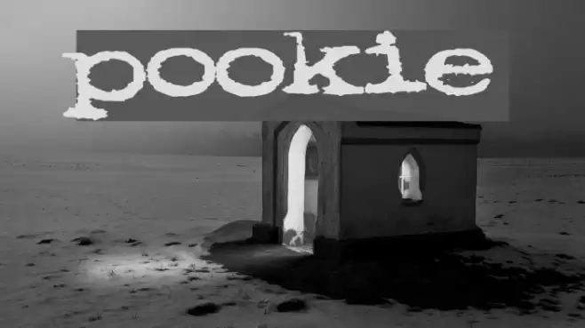 pookie Fuentes examples
