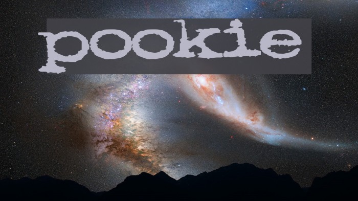 pookie Font examples