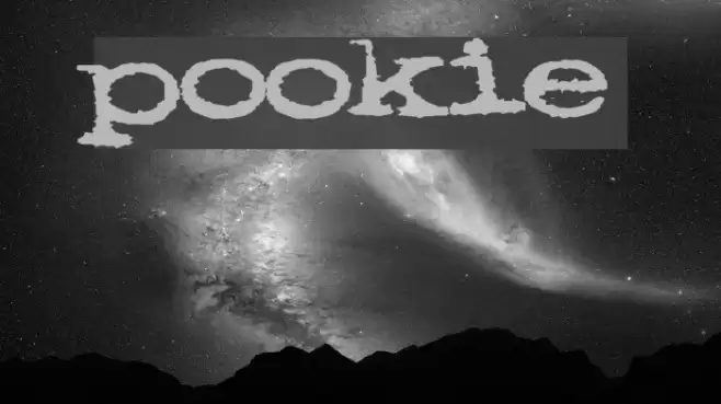 pookie Fuentes examples