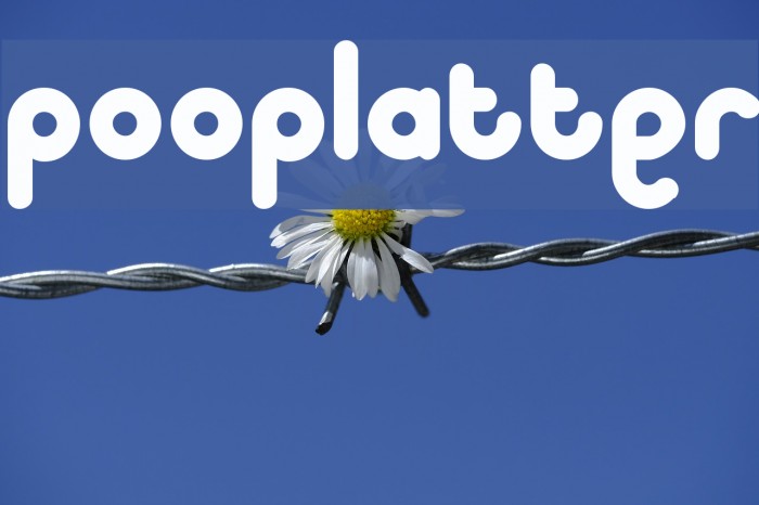 pooplatter Шрифта examples