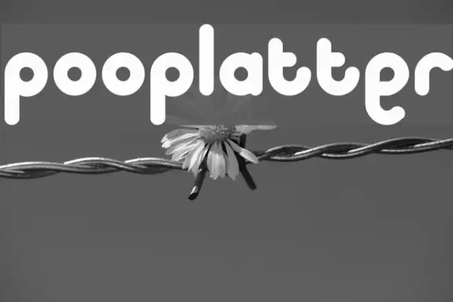 pooplatter Шрифта examples