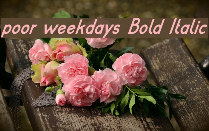 poor weekdays Bold Italic Font examples